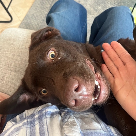 Meet your Posher, Katherine - Picture 8 of 10